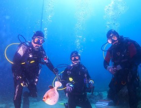 한국해양소년단전남동부연맹은 2026년 3월 18일부터 3월 23일까지 필리핀 사방에서 「2026 임원 해외스킨스쿠버 연수」를 실시하였다.임직원 4명이 참여하여 현지에서 스킨스쿠버 활동을 진행하였으며, 임원진의 해양 전문역량을 강화하고 상호 소통과 유대를 바탕으로 해양활동 경험을 넓히는 시간을 가졌다.